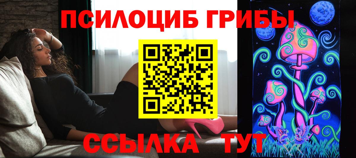 купить наркотик  Псилоцибиновые грибы мухоморы  Вход с VPN  Дзержинский 