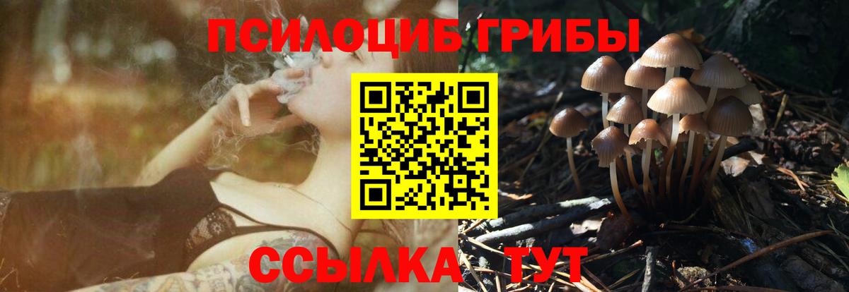 Псилоцибиновые грибы GOLDEN TEACHER Дзержинский